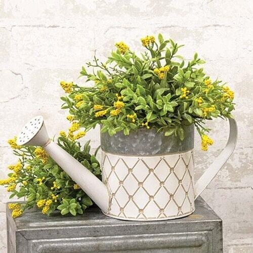 Country Farmhouse Watering Can
