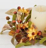 Fall Mix Daisy Candle Ring Ficus Leaves and Podka Pods 5"