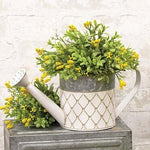 Country Farmhouse Watering Can