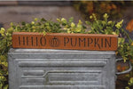 Country Primitive Hello Pumpkin Engraved Shelf Sitter Block Sign Fall Decor
