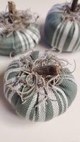 Sage pumpkins