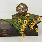 Yellow Daisy Bush