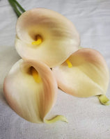 Country Primitive Cream Calla Lily Stem