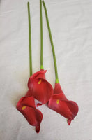 Large Red Calla Lily Stem