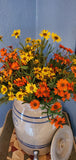 18 in Yellow Mini Mountain Daisy Bush