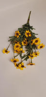 18 in Yellow Mini Mountain Daisy Bush
