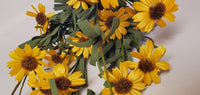 18 in Yellow Mini Mountain Daisy Bush