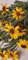 18 in Yellow Mini Mountain Daisy Bush